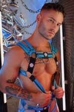 harnais circuit breaker bleu 2