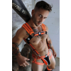 harnais circuit breaker orange 11