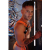 harnais circuit breaker orange 2