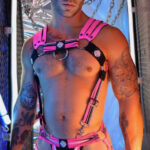 harnais circuit breaker rose