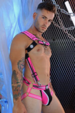 harnais circuit breaker rose 5