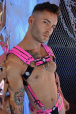 harnais circuit breaker rose 9