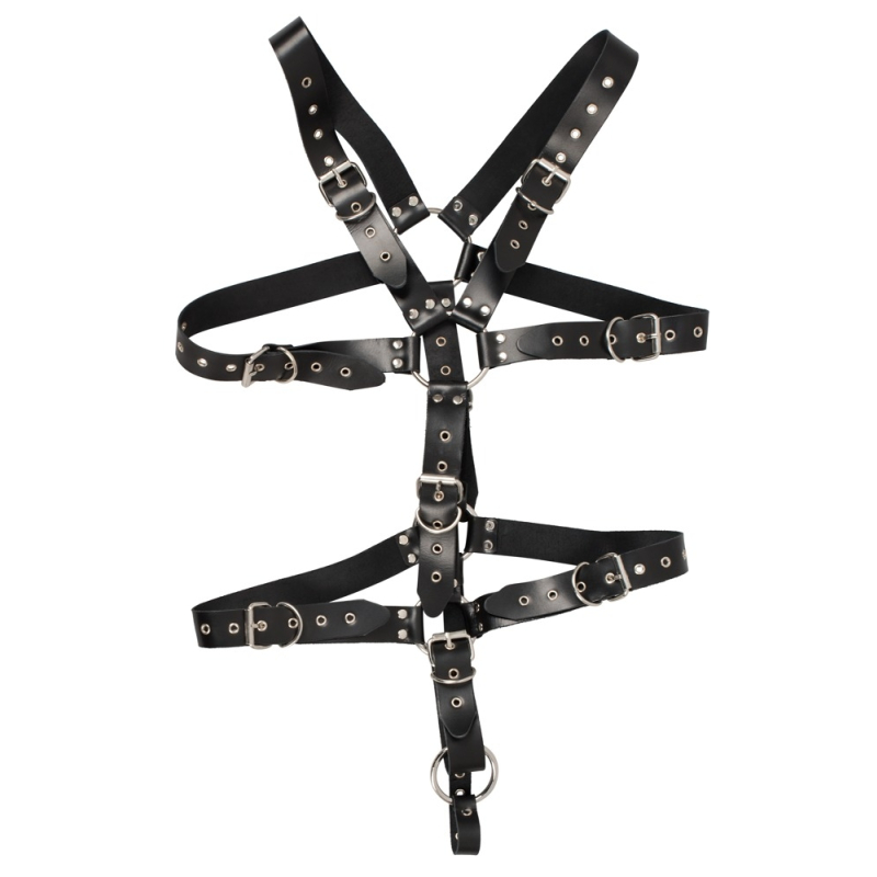 harnais complet en cuir avec anneau penien leathercock sl 2