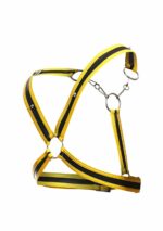 harnais cross chain dngeon noir jaune 7