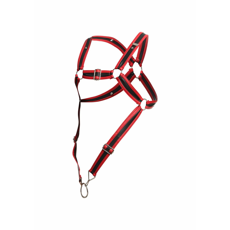 harnais cross cockring dngeon noir rouge 6