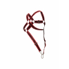 harnais cross cockring dngeon noir rouge 7