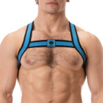 harnais elastique colin bleu 4
