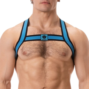 harnais elastique colin bleu 4