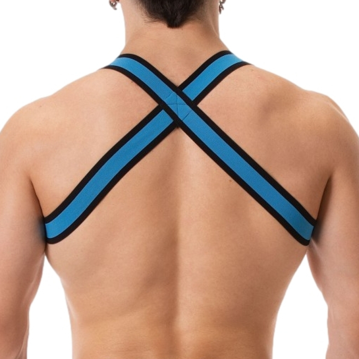 harnais elastique colin bleu 5