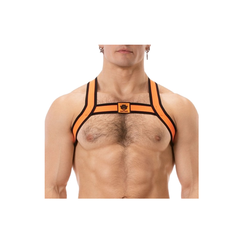 harnais elastique colin orange 4