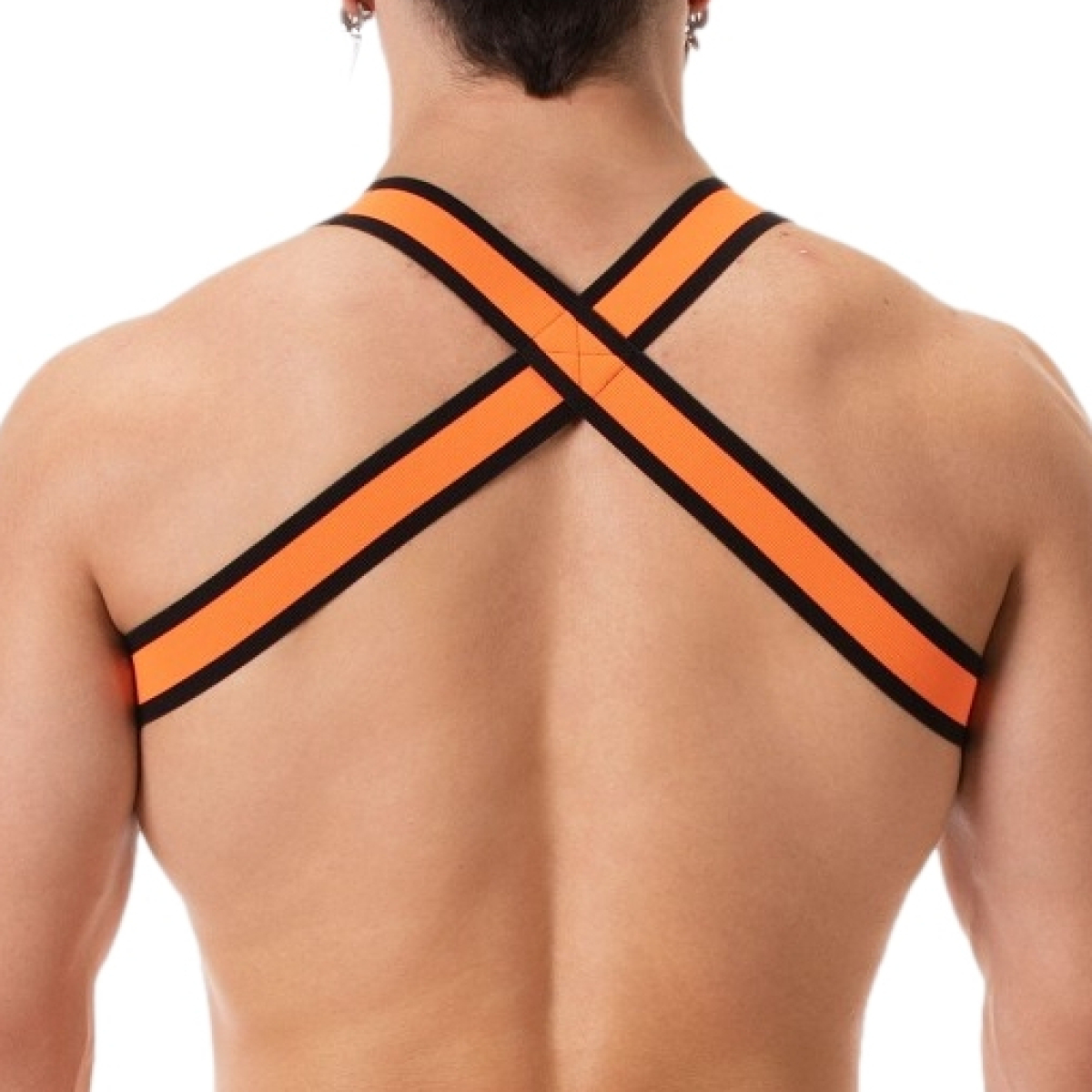 harnais elastique colin orange 5