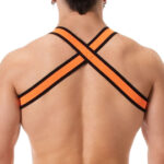 harnais elastique colin orange 5