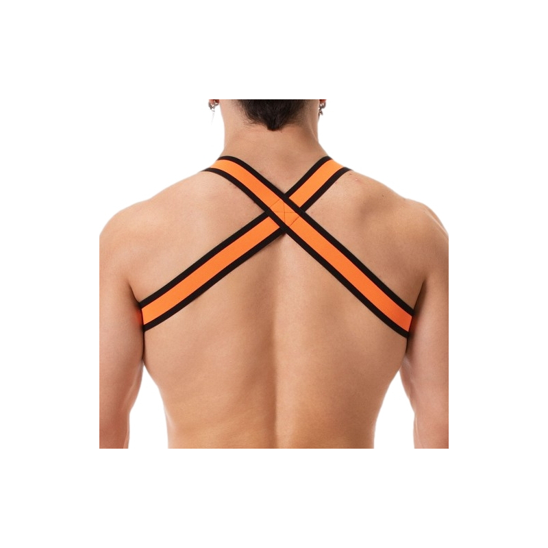 harnais elastique colin orange 5
