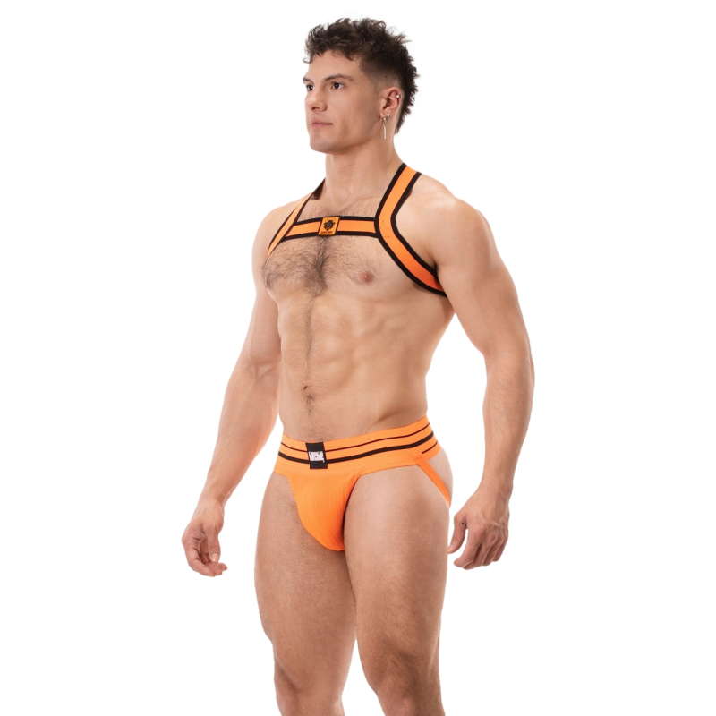 harnais elastique colin orange 6
