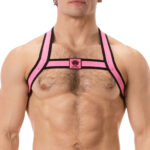 harnais elastique colin rose