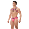 harnais elastique colin rose 2