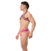 harnais elastique colin rose 3