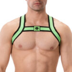 harnais elastique colin vert 4