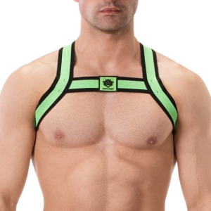 harnais elastique colin vert 4