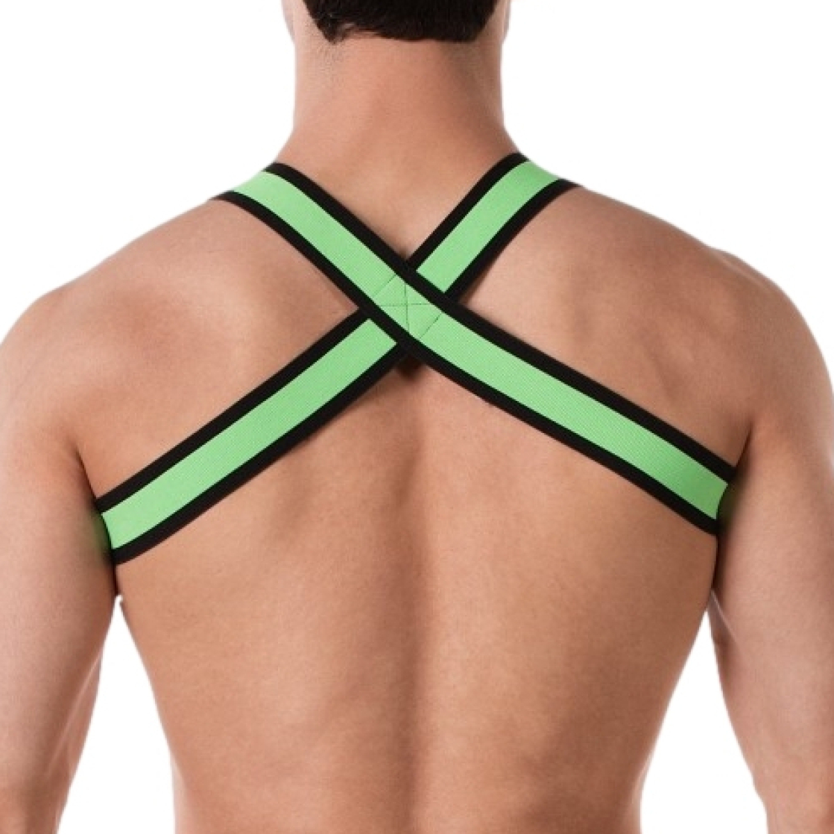 harnais elastique colin vert 5