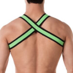harnais elastique colin vert 5