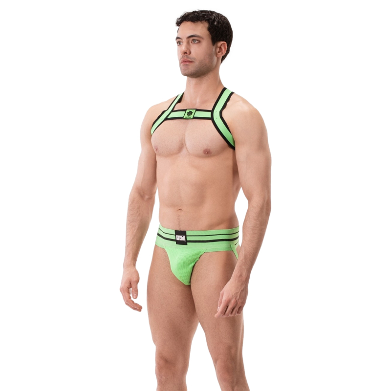 harnais elastique colin vert 6