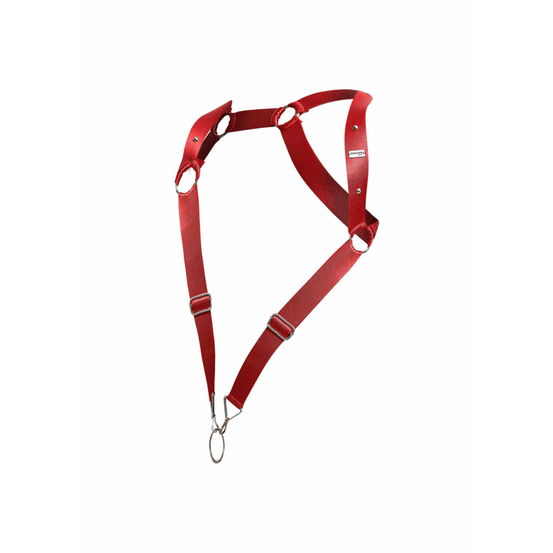 harnais elastique et cockring straight back rouge 6