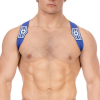 harnais elastique everette bleu
