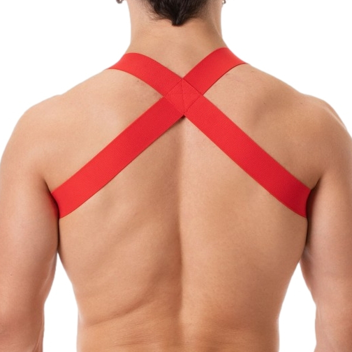 harnais elastique leonsh rouge 1