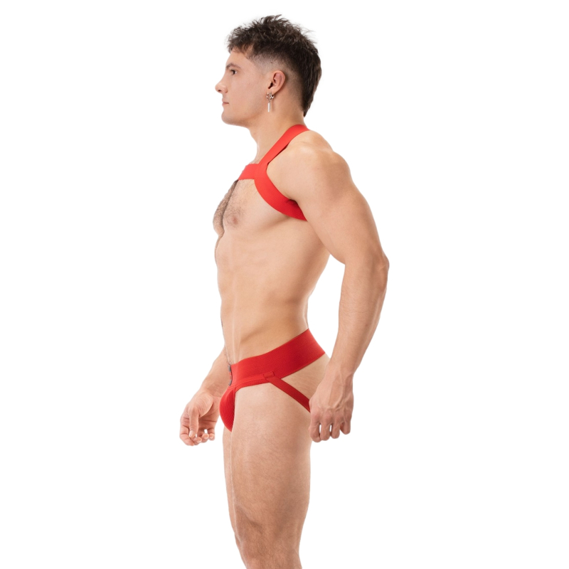 harnais elastique leonsh rouge 2