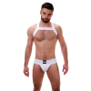 harnais elastique matt blanc 4
