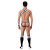 harnais elastique vers noir blanc 6
