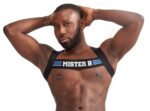 harnais elastique x back noir bleu 10