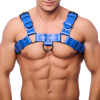 harnais en cuir bulldog bleu 2 scaled