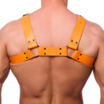 harnais en cuir bulldog orange 3 scaled