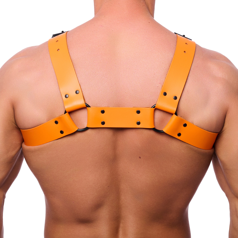 harnais en cuir bulldog orange 3 scaled