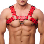 harnais en cuir bulldog rouge 2 scaled