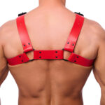 harnais en cuir bulldog rouge 3 scaled