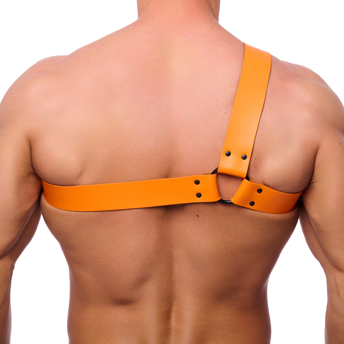 harnais en cuir half orange 3 scaled