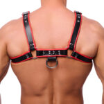 harnais en cuir noir rouge 3 scaled