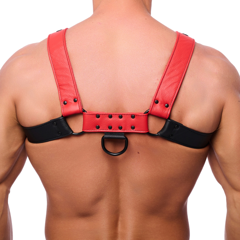 harnais en cuir snap noir rouge 1 scaled