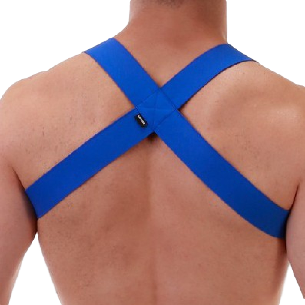harnais en elastique matt bleu 3