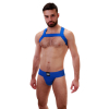 harnais en elastique matt bleu 4