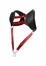 harnais et cockring dngeon noir rouge 6