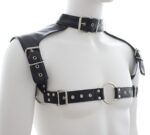 harnais et collier optor noir 1