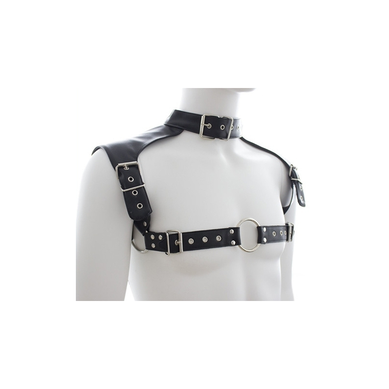 harnais et collier optor noir 1