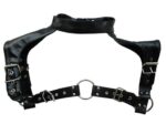 harnais et collier optor noir 10
