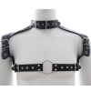 harnais et collier optor noir