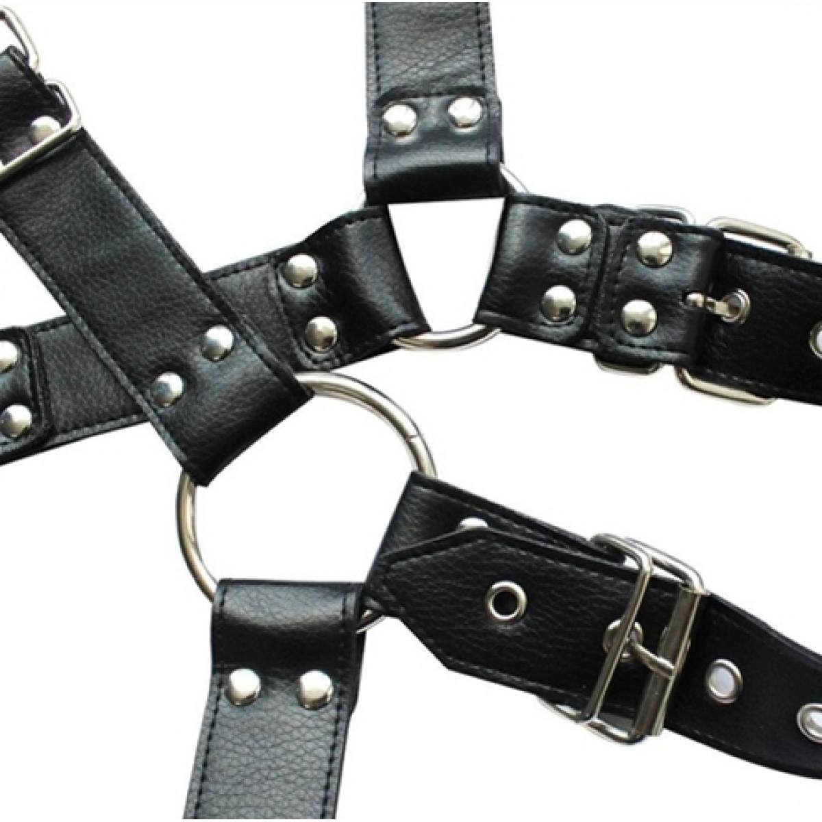 harnais et collier optor noir 11