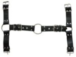 harnais et collier optor noir 13